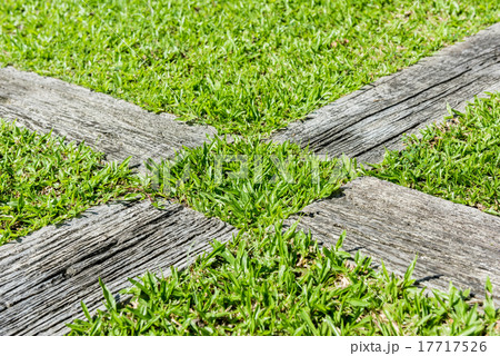 Gravel texture and strip grass Gravel texture and strip grass 17717526