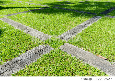 Gravel texture and strip grass Gravel texture and strip grass 17717527