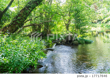 楽寿園 名勝区域 楽寿園 名勝区域 17717646