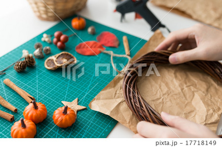 様々な材料 (秋・ハロウィン用など) 様々な材料 (秋・ハロウィン用など) 17718149