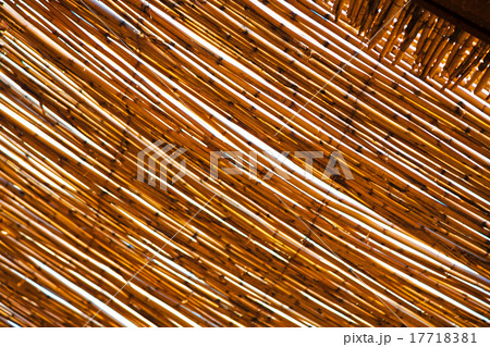 morocco abstract bamboo  in the  africa  sky 17718381