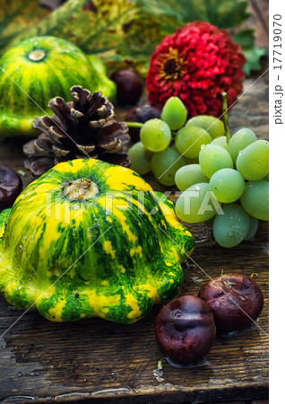 Autumn still life with squash Autumn still life with squash 17719070
