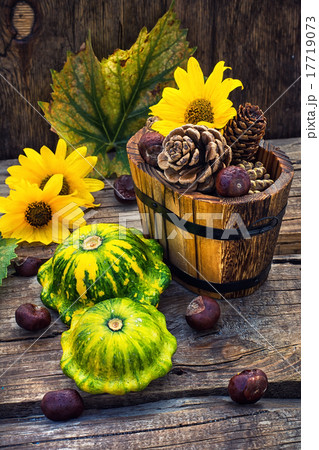 Autumn still life with squash Autumn still life with squash 17719073