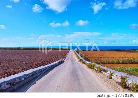海が見えるサトウキビ畑と農道と青空 17720296