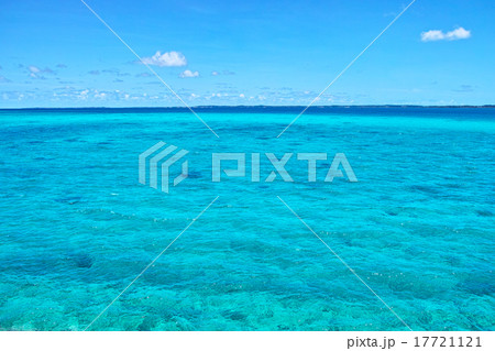 コバルトグリーンの海 17721121