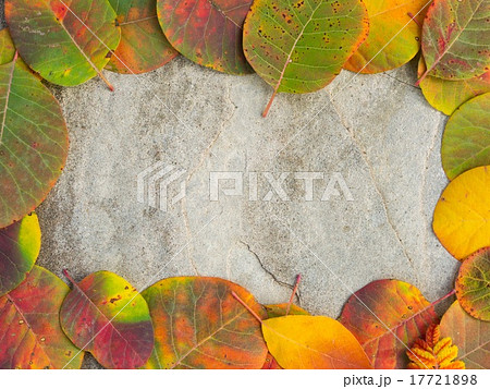 Framed colored autumn leaves background on the 17721898