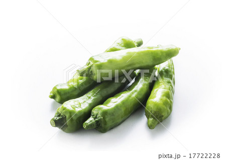 シシトウ 17722228