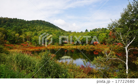 志賀高原一沼の紅葉 17722680