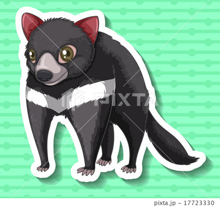 Tasmanian Devil standing alone Tasmanian Devil standing alone 17723330