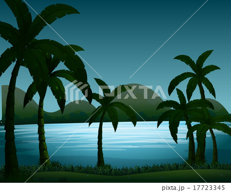 Silhouette nature scene with coconut trees Silhouette nature scene with coconut trees 17723345