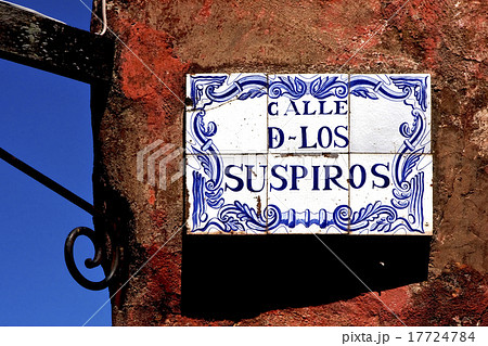 plant and a wall in calle de los suspiros plant and a wall in calle de los suspiros 17724784