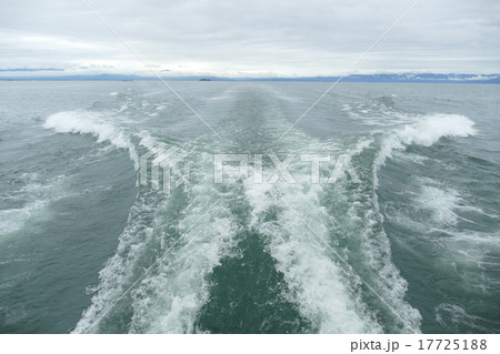 船上から眺める波跡 船上から眺める波跡 17725188