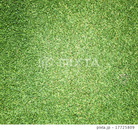 Beautiful green grass texture 17725809