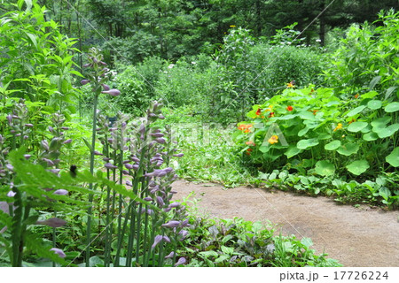 山庭、  花庭、 山庭、  花庭、 17726224