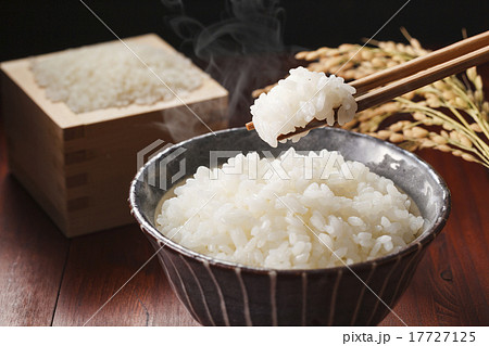 白米のごはん　 17727125