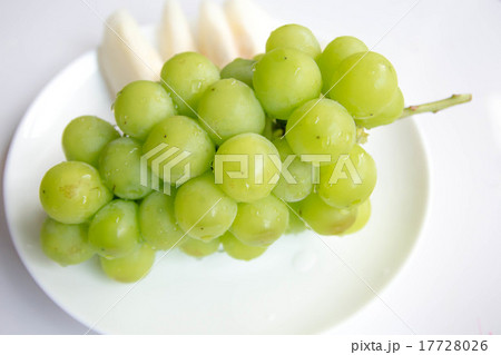 シャインマスカット シャインマスカット 17728026