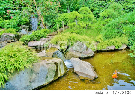 庭園の滝 庭園の滝 17728100
