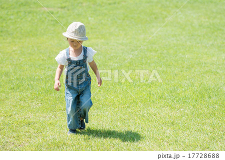芝生を歩く女の子 17728688