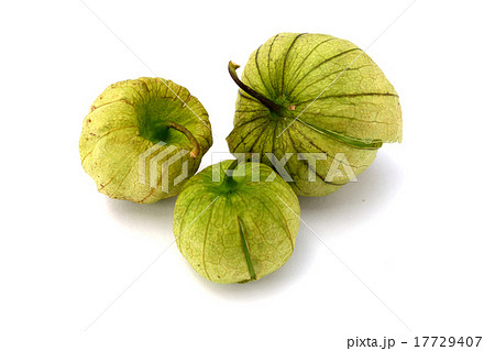 トマティージョ 17729407