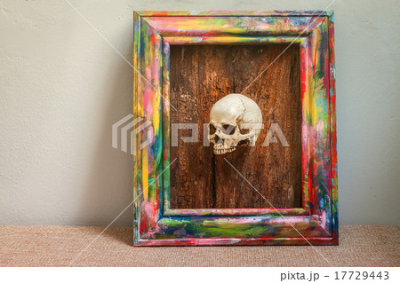Tiny skulls in colorful wooden frame 17729443