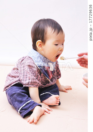 離乳食を食べる10ヶ月の赤ちゃんの写真素材
