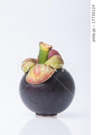 Mangosteen fruit 17730124