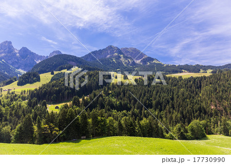 View on the Alps, Switzerland View on the Alps, Switzerland 17730990
