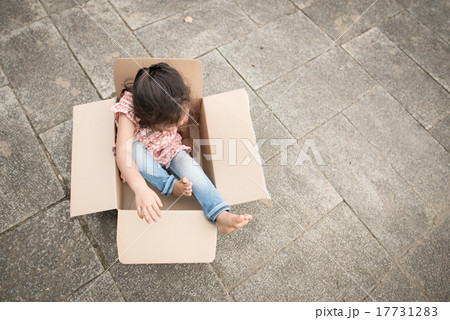 ダンボール箱で遊ぶ女の子 17731283