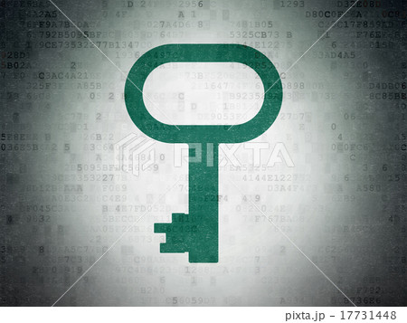 Privacy concept: Key on Digital Paper background 17731448