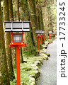 神社の参道 17733245