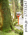 神社の参道 17733247