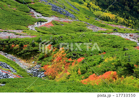 秋色の蝶ヶ岳稜線を行く登山者 秋色の蝶ヶ岳稜線を行く登山者 17733550