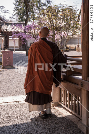 京都 桜を眺めるお坊さん 京都 桜を眺めるお坊さん 17734251