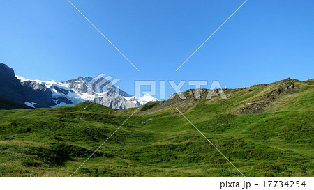 ユングフラウ 17734254