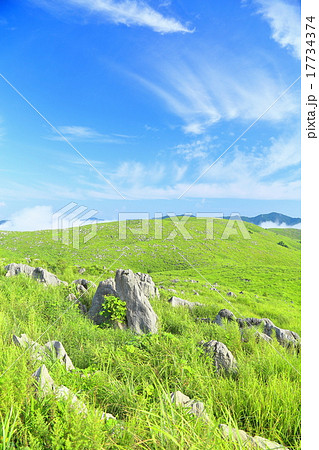 草原と青空の風景（山口県秋吉台） 17734374