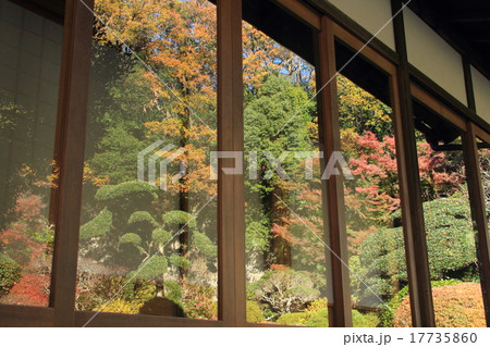 窓ガラスに映る紅葉 17735860