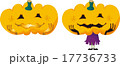 かぼちゃ 17736733