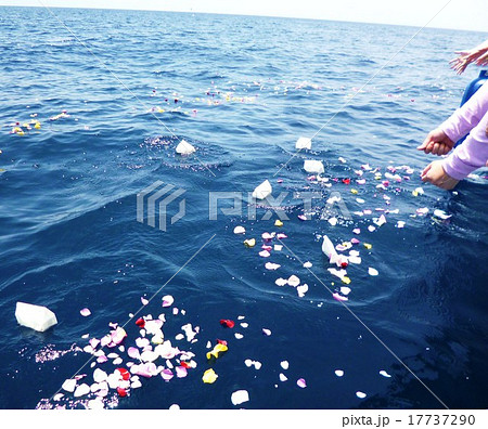 海洋散骨 17737290