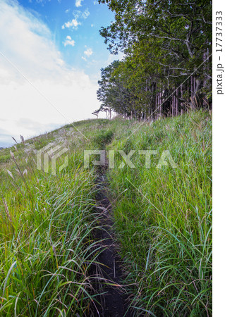 砥峰高原　ハイキングコース　遊歩道 17737333