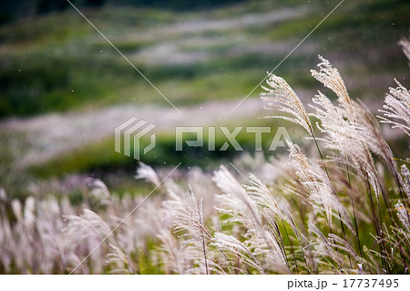 砥峰高原 砥峰高原 17737495