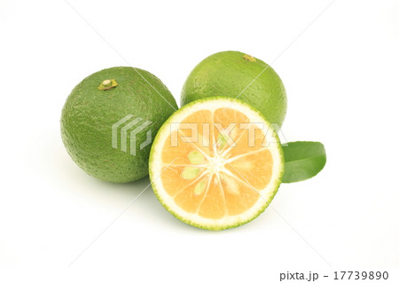 天然かぼす　新鮮獲れたて 17739890