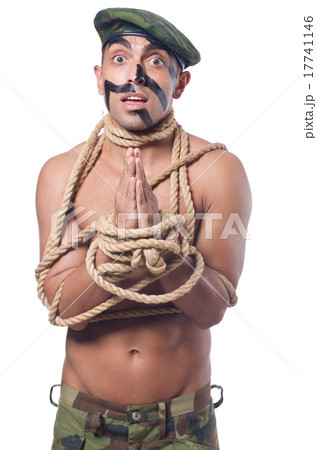 Soldier isolated on the white background 17741146