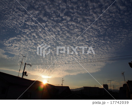 秋　空　夕焼け　雲 17742039