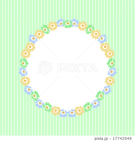 サイネリア（青系）サークル 17742049