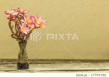 Vases and flower 17742392