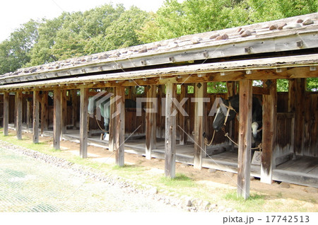 根城　100名城 17742513