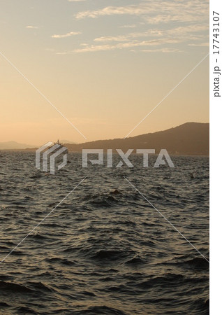 船と能古島 17743107