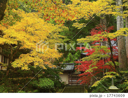 秋の永平寺境内の紅葉 17743609
