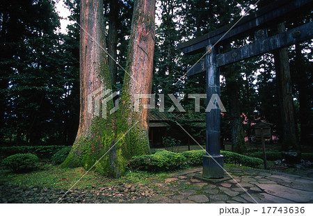 日光 東照宮 世界遺産 日光 東照宮 世界遺産 17743636