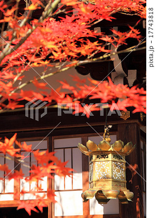 12月京都 車折神社拝殿の釣燈籠と紅葉 12月京都 車折神社拝殿の釣燈籠と紅葉 17743818